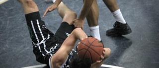 Fryshuset tar plats i basketligan