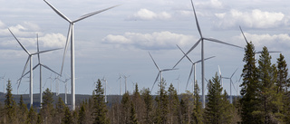Kommunen godkänner 300 meter höga vindkraftverk nära Långträsk: "Ger säkrare strömförsörjning"