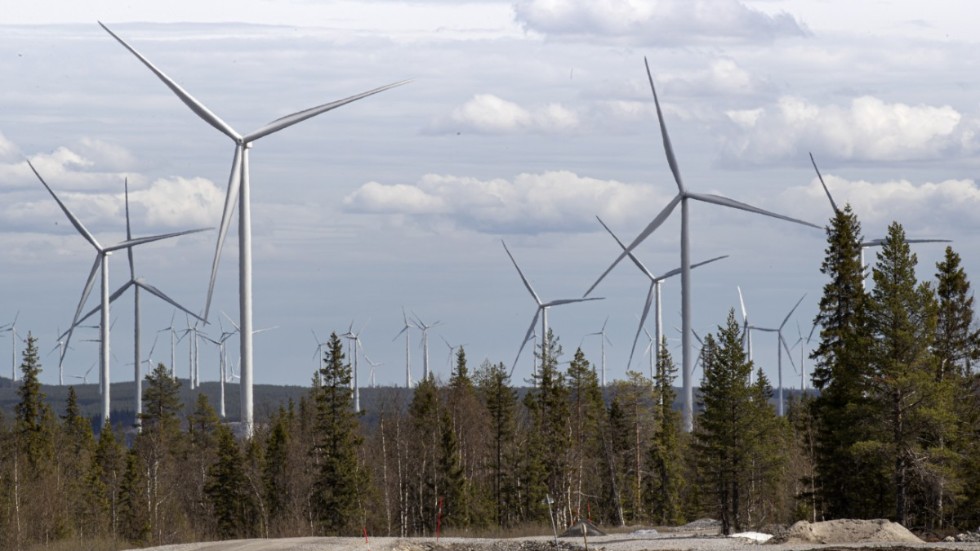 Holmens planer på en vindkraftpark i gränstrakterna mellan Norrköping och Finspångs kommuner kritiseras av Lars Cornell.