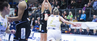 Talangerna nära kontrakt med Luleå Basket