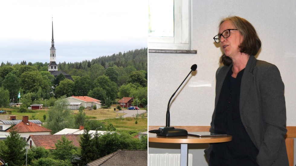 Lena Käcker Johansson och Kristdemokraterna i Kinda vill se en distriktssköterskemottagningen i Horn igen.