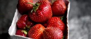 App ska hjälpa jordgubbarna på traven