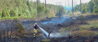 Befarar fler skogsbränder: "Får ju ingen nederbörd"