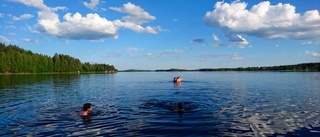 Ny undersökning om människors resande i sommar