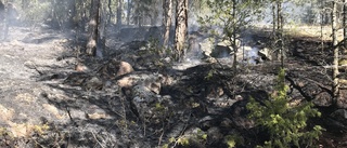 Räddningstjänsten släcker gräsbrand i Målilla