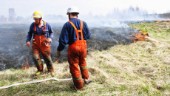 Stor risk för gräsbränder i länet