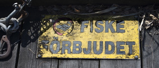 Fiskeförbud i Spånga gäller inte alla