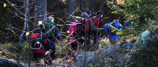 Bevara skogen och vår livsmiljö