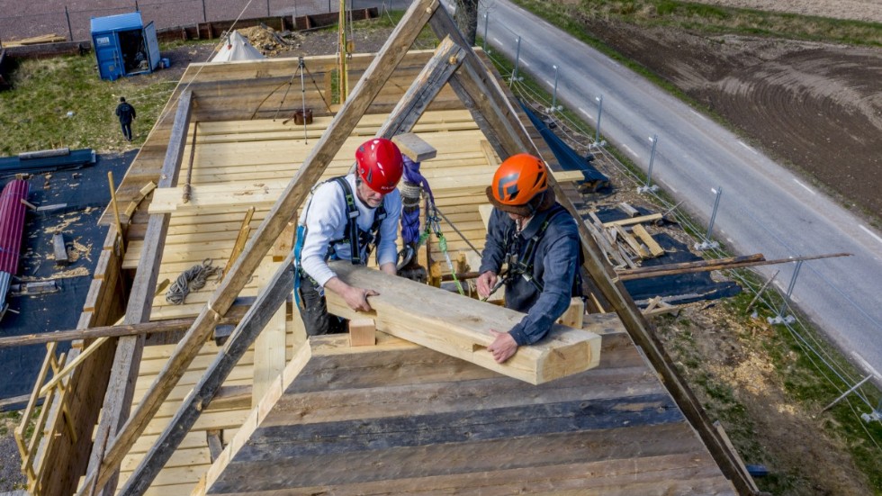 Karl-Magnus Melin och Mattias Hallgren monterar en handhuggen stock i takkonstruktionen på "nygamla" Södra Råda kyrka. Den medeltida träkyrkan återskapas nu med tidsenliga metoder.