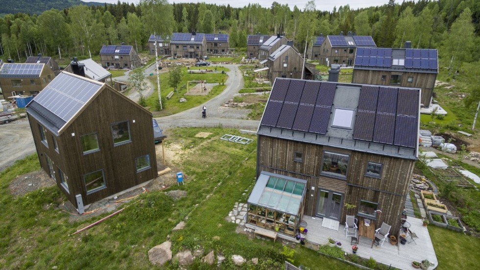 Solcellerna har fått sitt stora genombrott i Sverige.