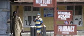 WHO: Nära kvarts miljard kan smittas i Afrika