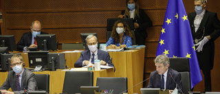 Cancer och skattefusk i EU-parlamentet
