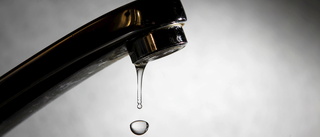 Regeringen uppmanar till att tänka på vattenförbrukningen – 30 kommuner har hittills infört bevattningsförbud