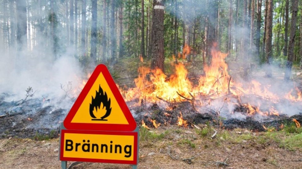 Att på ett säkert sätt genomföra denna bränning nu kommer naturligtvis att kräva stora resurser, bland annat personal som behärskar brandsläckning, skriver en skogsägare.