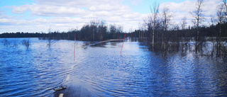 Stora översvämningar – vägar avstängda: "Åka båt"