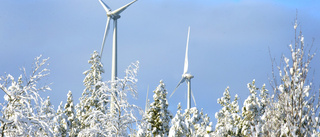 Tillbakavisar kritiken mot vindkraftsparken vid Hällberget