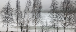 Vädret: Moln, regn och snöfall