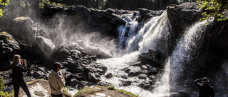 Jämtlandsfjällen bjuder in till sommar