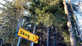 ”Skogs-Nolia” planeras i Överkalix