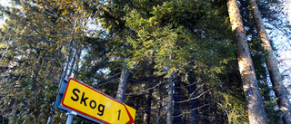 ”Skogs-Nolia” planeras i Överkalix