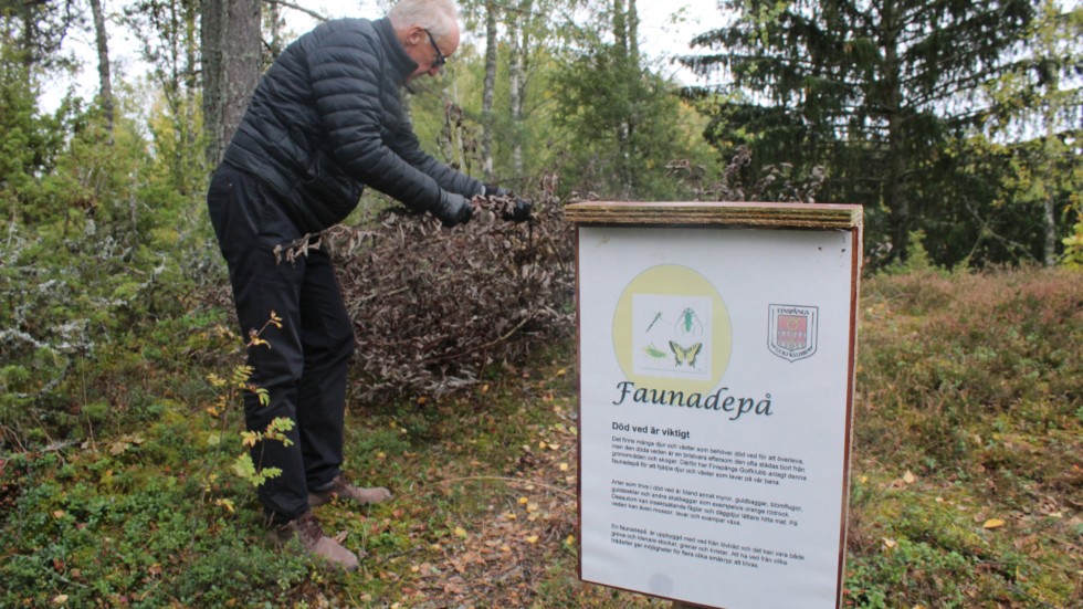 Några faunadepåer har skapats hos Finspångs golfklubb för insekter.