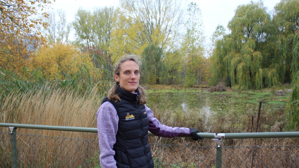 Maria Persson, verksamhetsledare för drift och levande samlingar vid Friluftsmuseet Gamla Linköping, vid en av de två dammar som nu ska återställas.