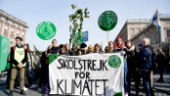Klimatstrejk flyttar från gatan till nätet