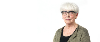 Birgitta Pettersson: Lär känna riskzonen