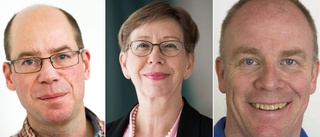 Tre kandidater utsedda – de vill bli universitetets nya rektor