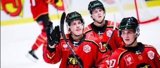 Luleå Hockeys miljonförlust: "Hanterbart"