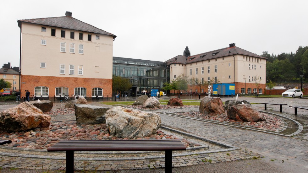 Insändarskribenten Walter Sköldefors i Strängnäs tycker att Thomasgymnasiets rabatter behöver rensas från skräp.