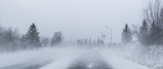 Johanna Renling: När snön inte ligger på marken – läs om den 