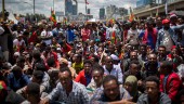 Amnesty: Massgripanden och mord i Etiopien