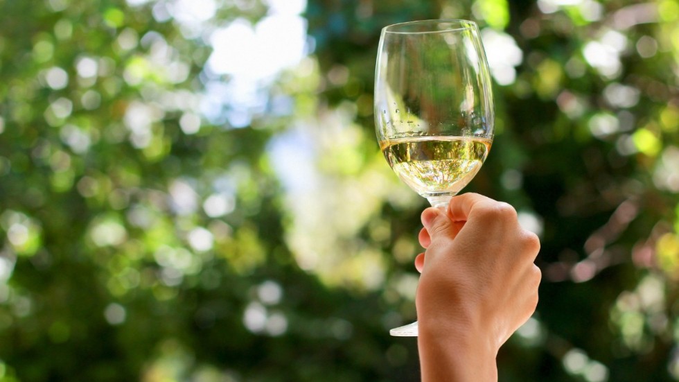 När midsommarbordet ska dukas är alkoholfritt inte bara ett alternativ, utan en dryck som kan stå för sig själv. Det gäller flera av de vita vinerna, enligt testpanelen.
