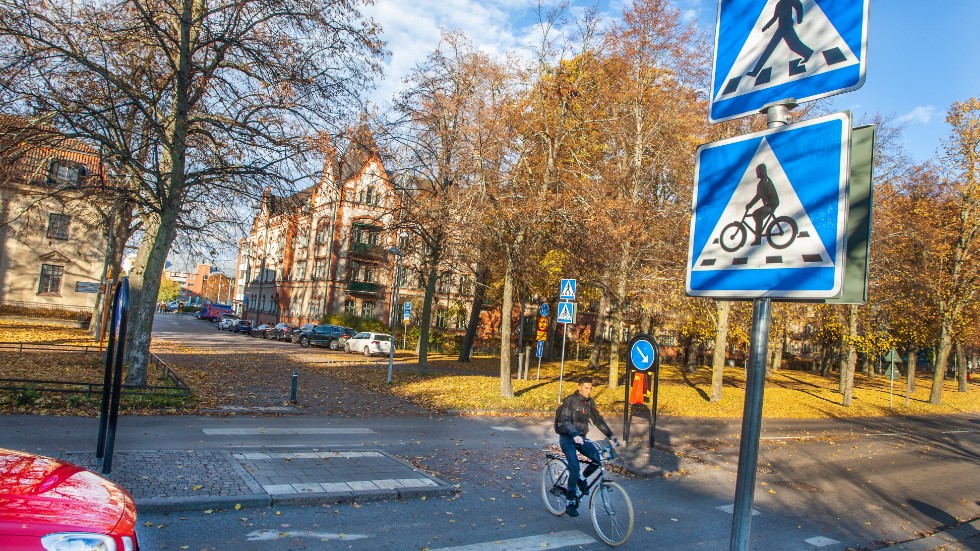 Vid Vasaparken har flera otäcka olycker skett genom åren, nu hoppas man slippa dessa med de nya cykelöverfarterna.