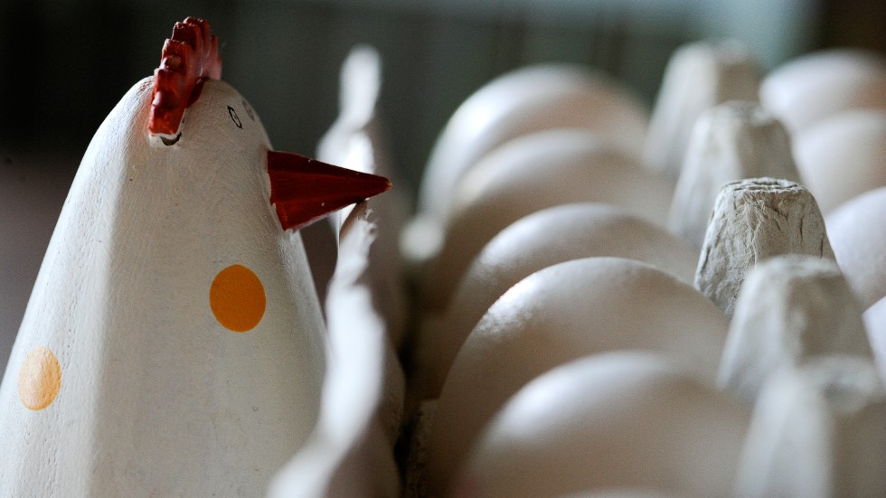 Svenskarna uppskattar allt mer KRAV-märkta ägg, men de står fortfarande för en mindre del av den totala äggförsäljningen, skriver debattören.