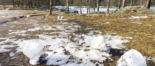 Beskedet från SMHI: Östergötland har fått en ny årstid