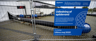 Miljarder liter kloakvatten ut i Öresund