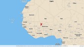 Minst tolv dödade i attacker i Mali