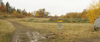 Discgolfbana uppförs vid Hammarens IP