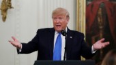 Trump är på väg att vålla "hjärndöd" i Nato