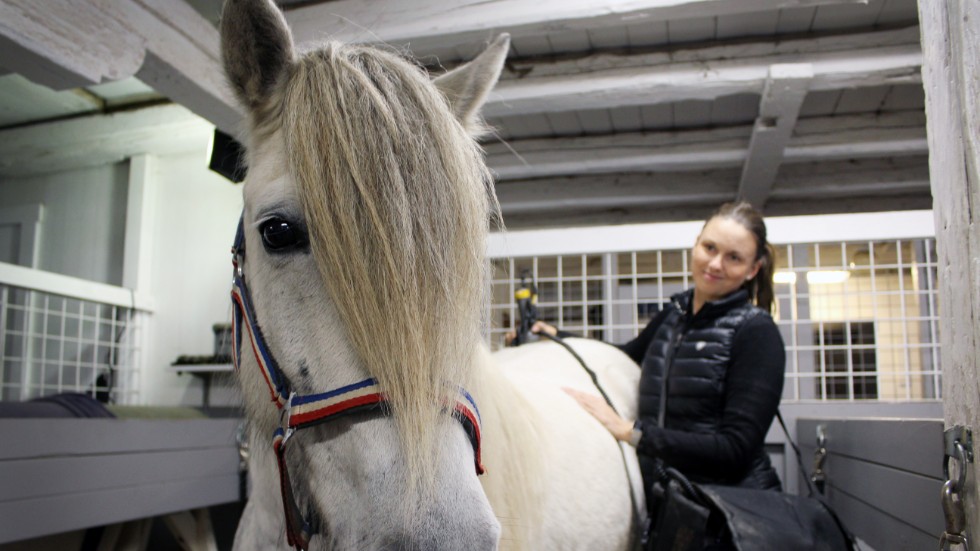 Linda Söderberg Fång arbetar som equiterapeut. Dagens första patient är Balthazar som är en nioårig islandshäst. Här får han behandling med laser för att bli mindre stel i sina länder.