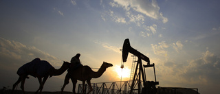 Expert: Oljepriset vänder upp senare i år