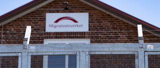 Migrationsverket vill låna ut personal