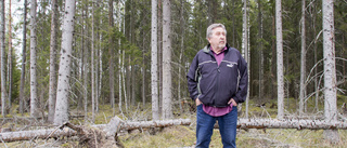 Ilsken på kommunens skogsskötsel i Björkvik