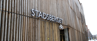 Minderårig åtalas för skadegörelse i Stadsberget