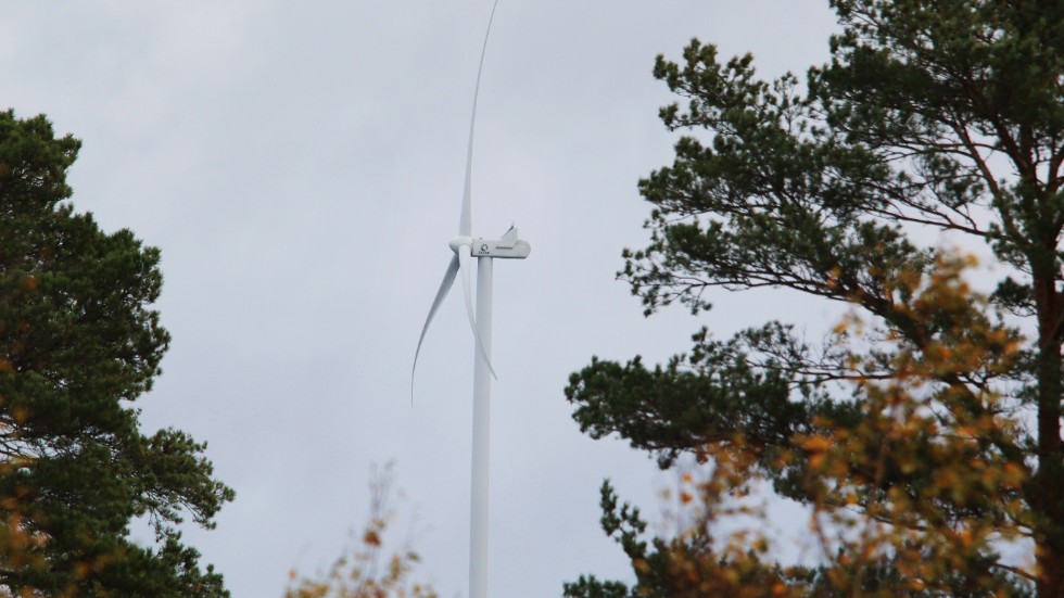 Kommunfullmäktige sa nej till vindkraftverk i Tönshult utanför Virserum. En besvikelse för företaget, som dock inte ger upp.