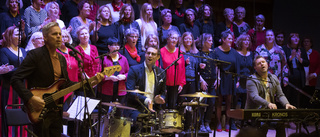 Publiksuccén tillbaka i Piteå – amerikansk artist gästar: "Både glädje och tårar" 