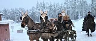 Lyckad hästshow med jultema   
