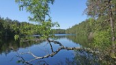 15 nya naturreservat i Östergötland